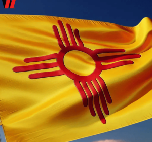 LLC Formation In New Mexico + EIN + Shared Address