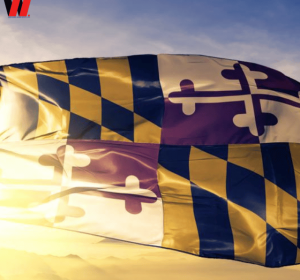 LLC Formation In Maryland + EIN + Shared Address
