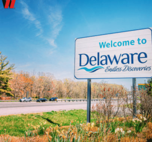 LLC Formation In Delaware + EIN + Shared Address