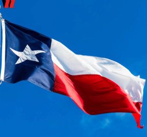 LLC Formation In Texas + EIN + Shared Address