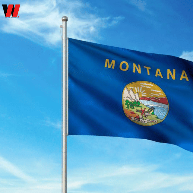 LLC Formation Montana + Ein + Shared Address