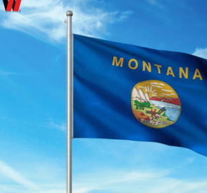 LLC Formation Montana + Ein + Shared Address