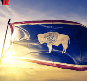 LLC Formation In Wyoming + EIN + Shared Address